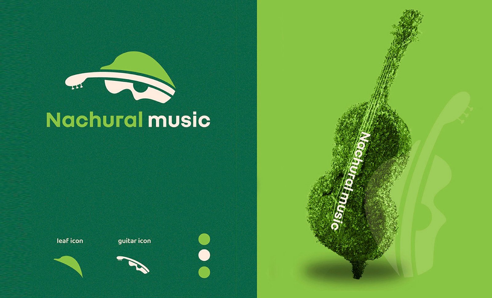 Logo & Branding