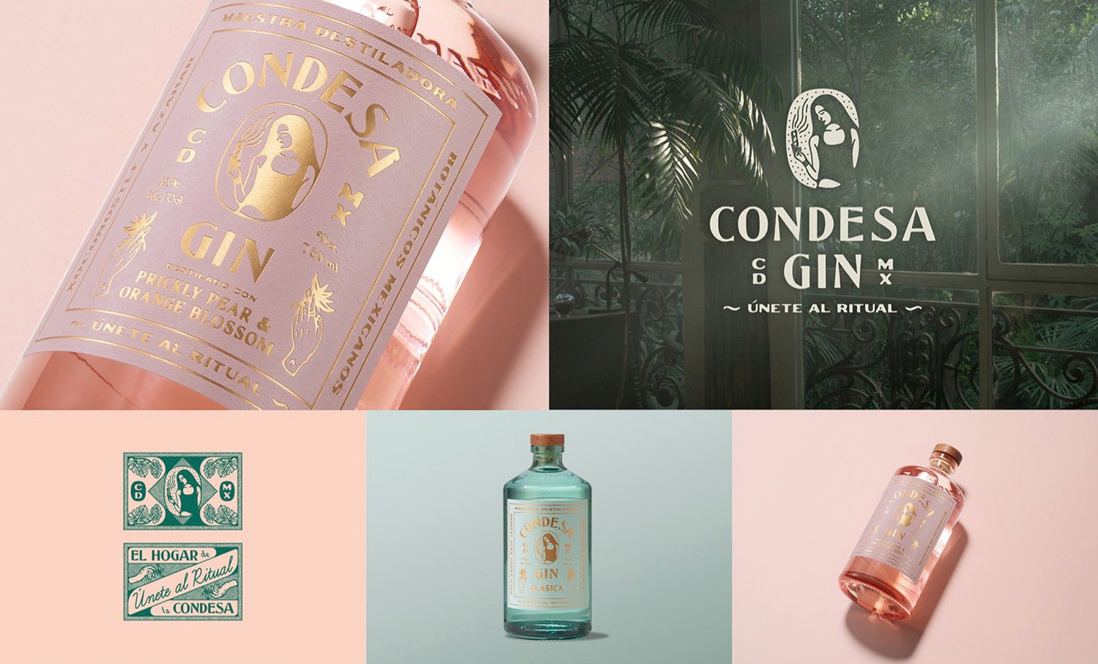 Branding & Packaging